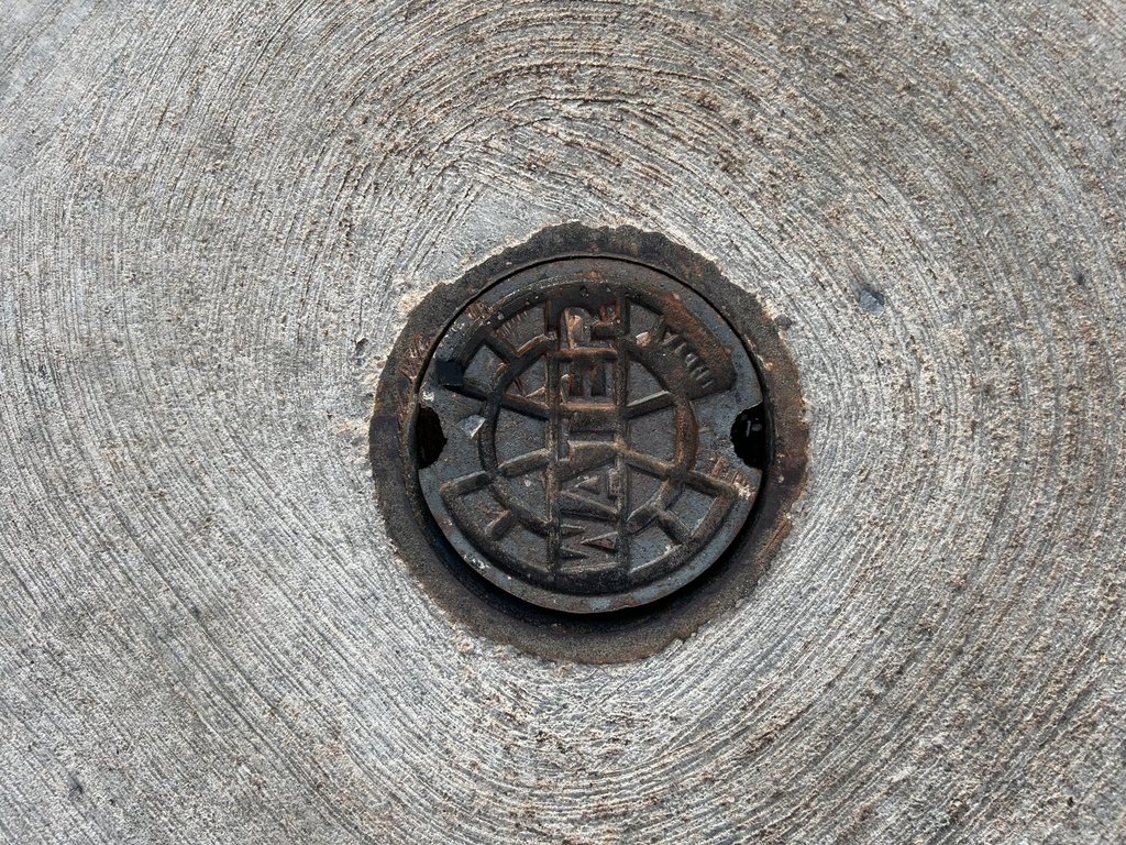 Picture 17