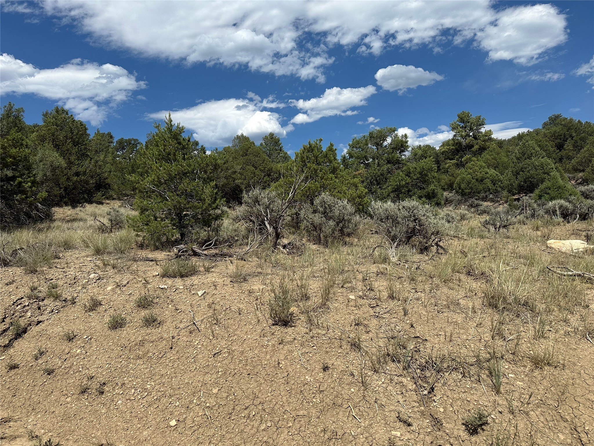 Tierra Amarilla Land For Sale