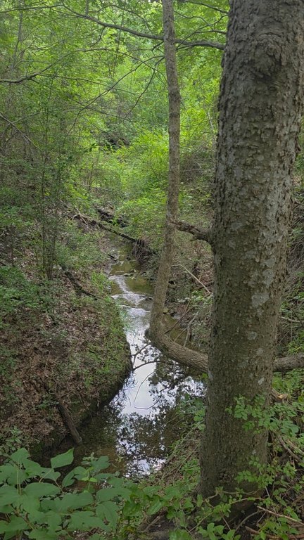 Picture 7