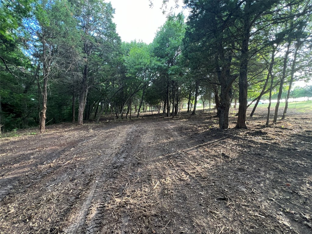 Picture 5