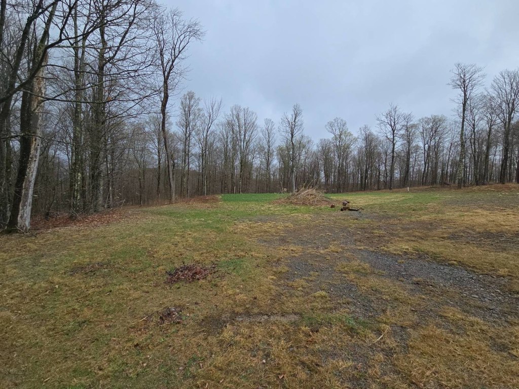 Picture 12