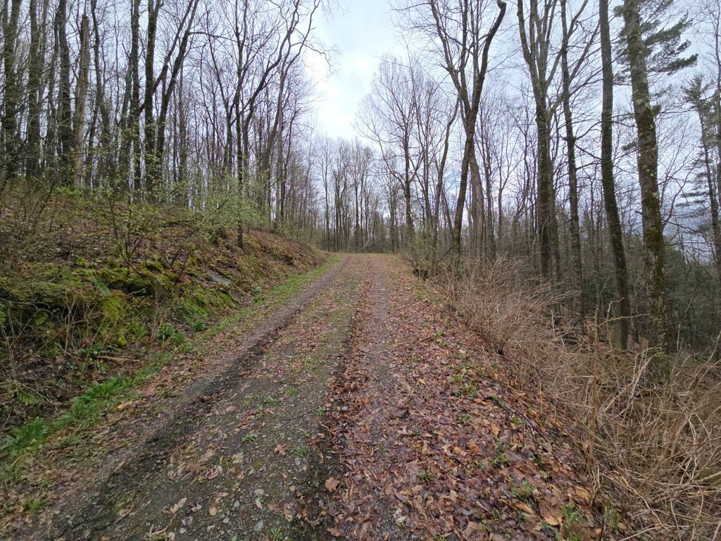 Picture 31
