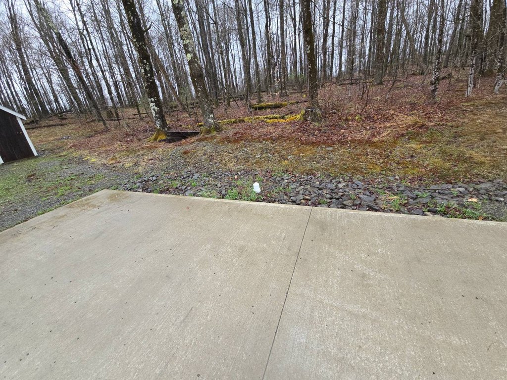 Picture 17