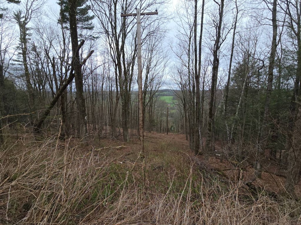 Picture 30