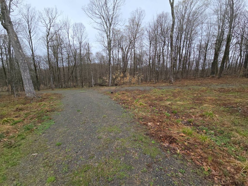 Picture 28
