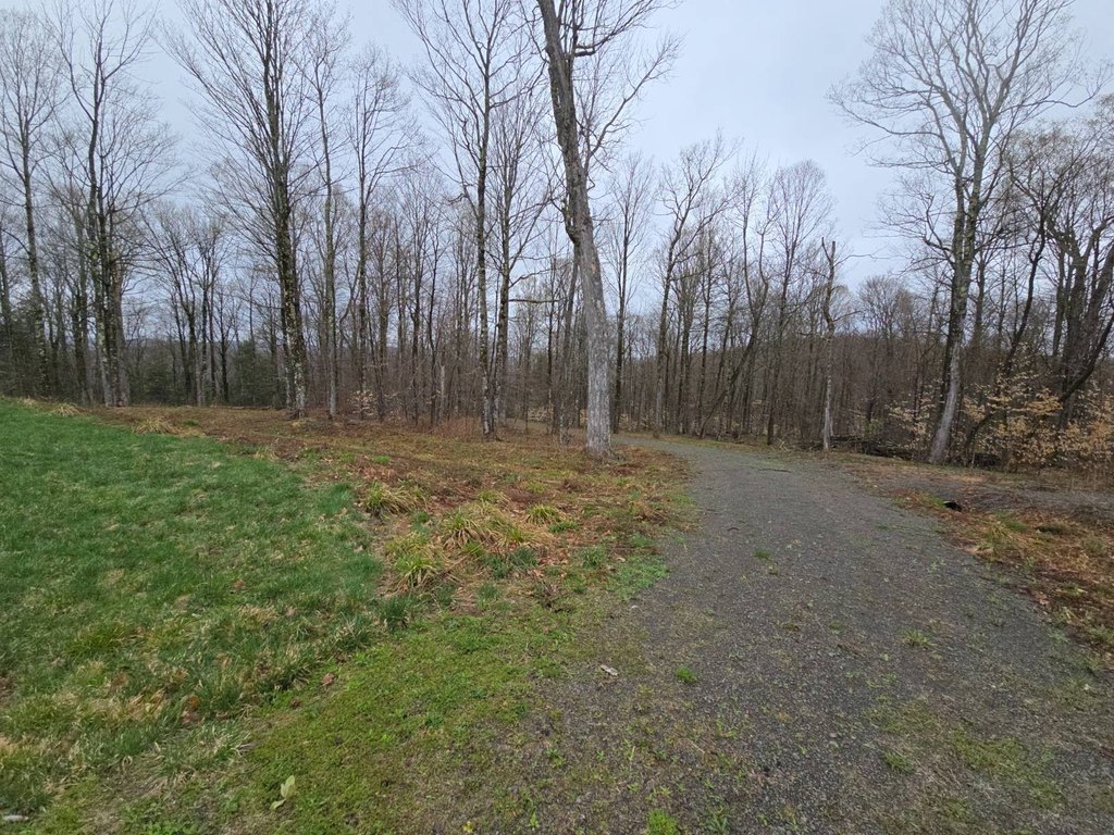 Picture 29