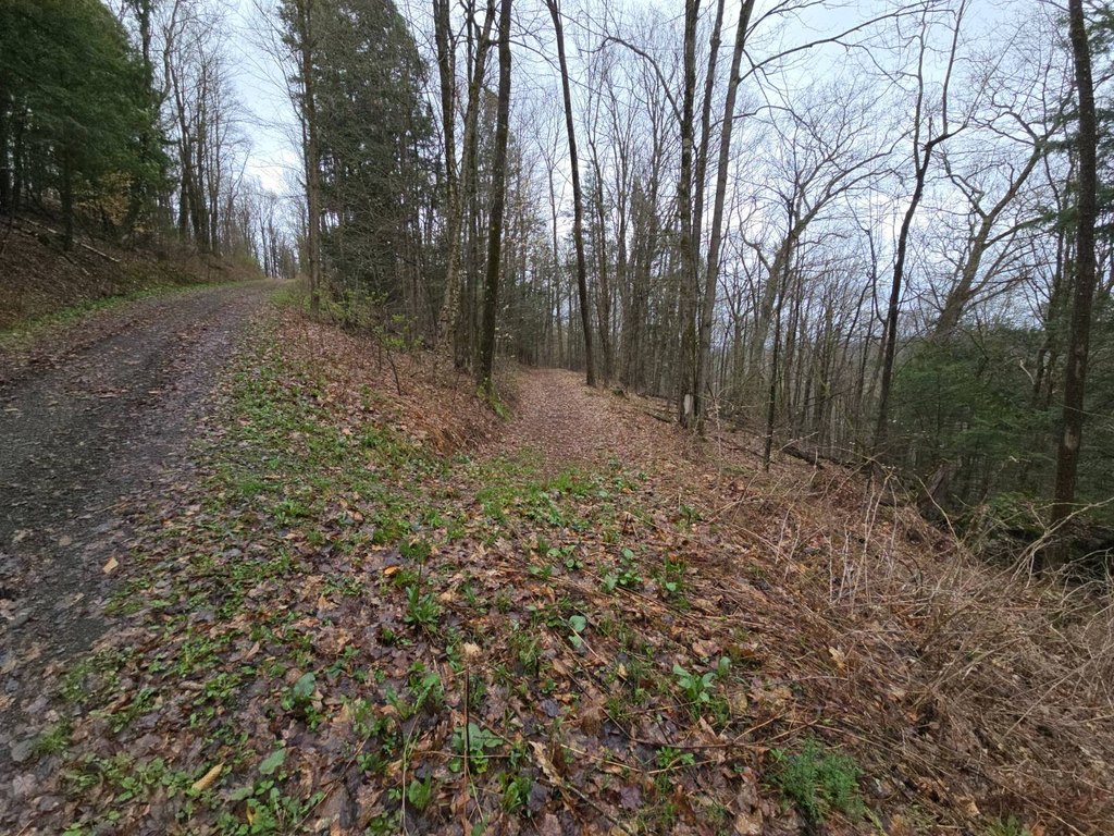 Picture 33