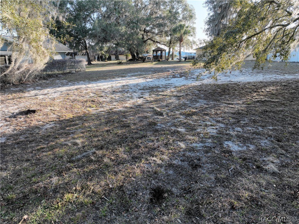 Picture 9