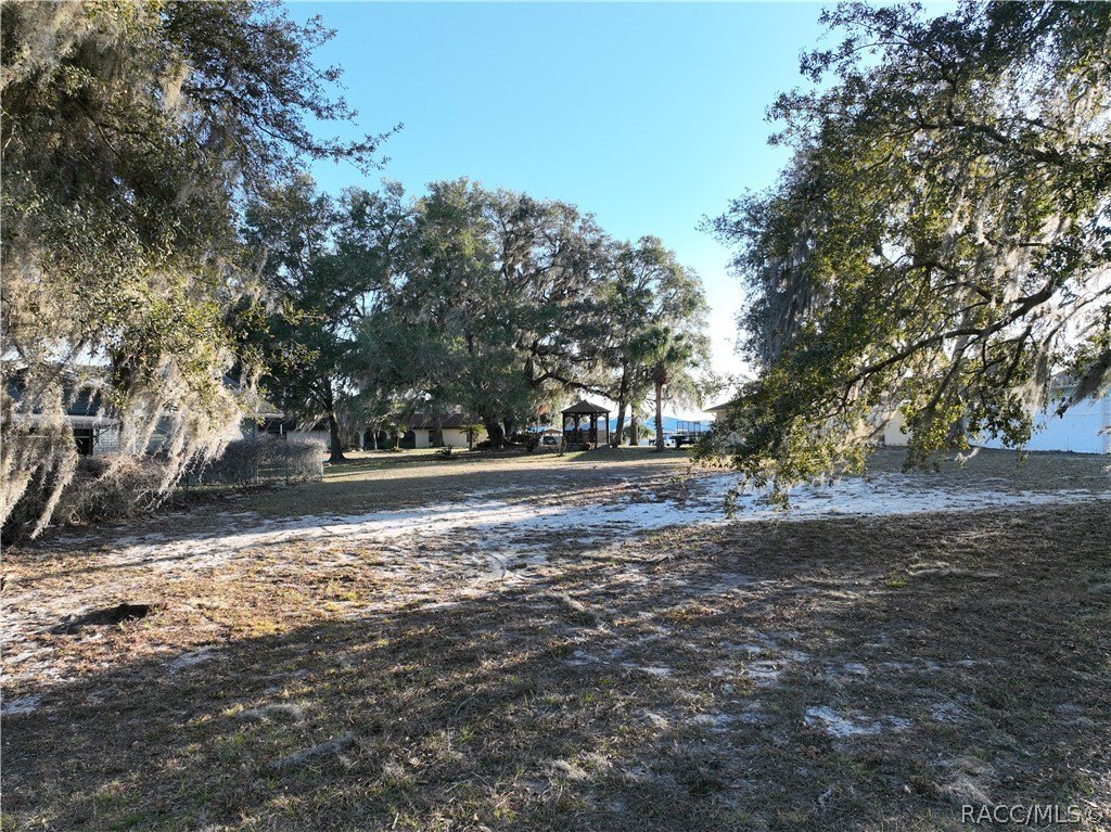 Picture 7