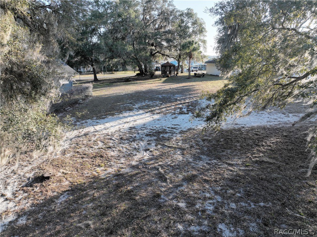 Picture 8
