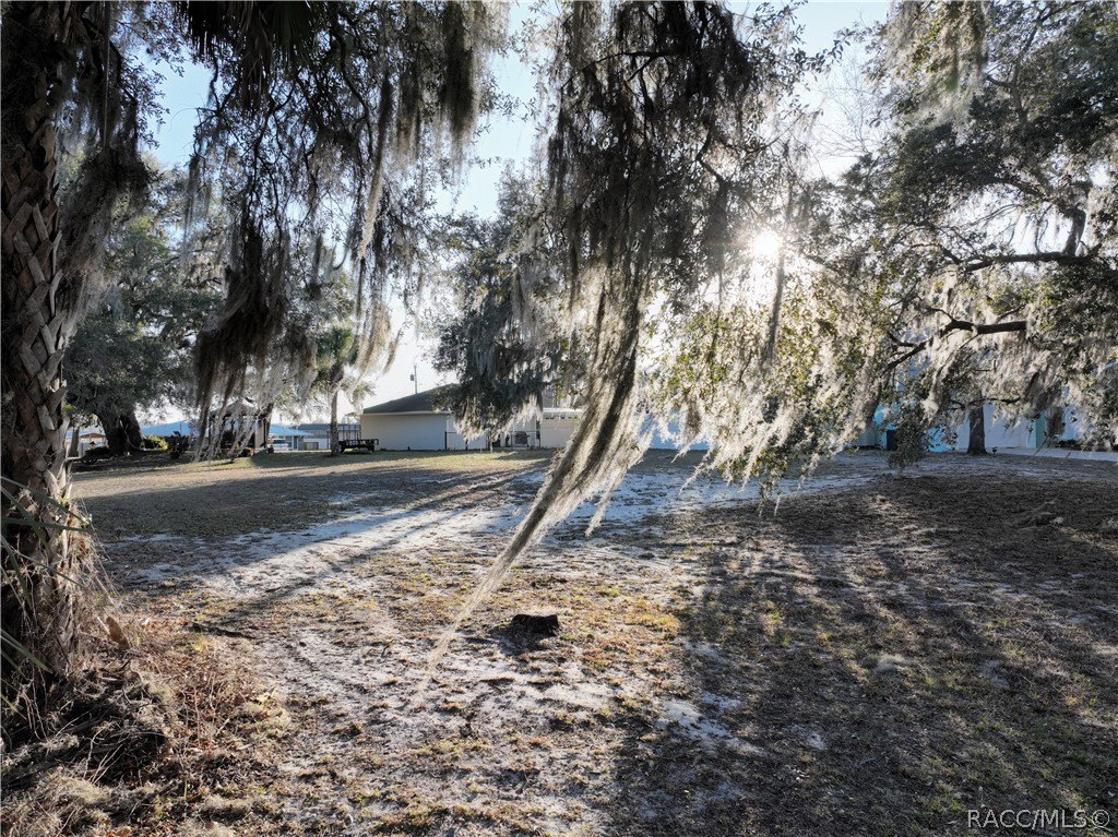 Picture 4