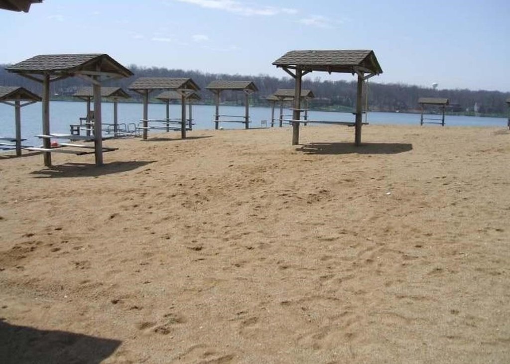Picture 9