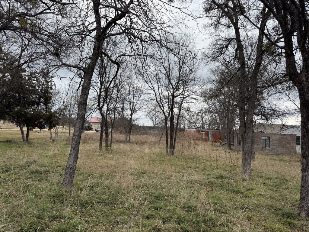Picture 4