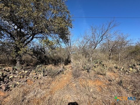 LAND - Granite Shoals, TX