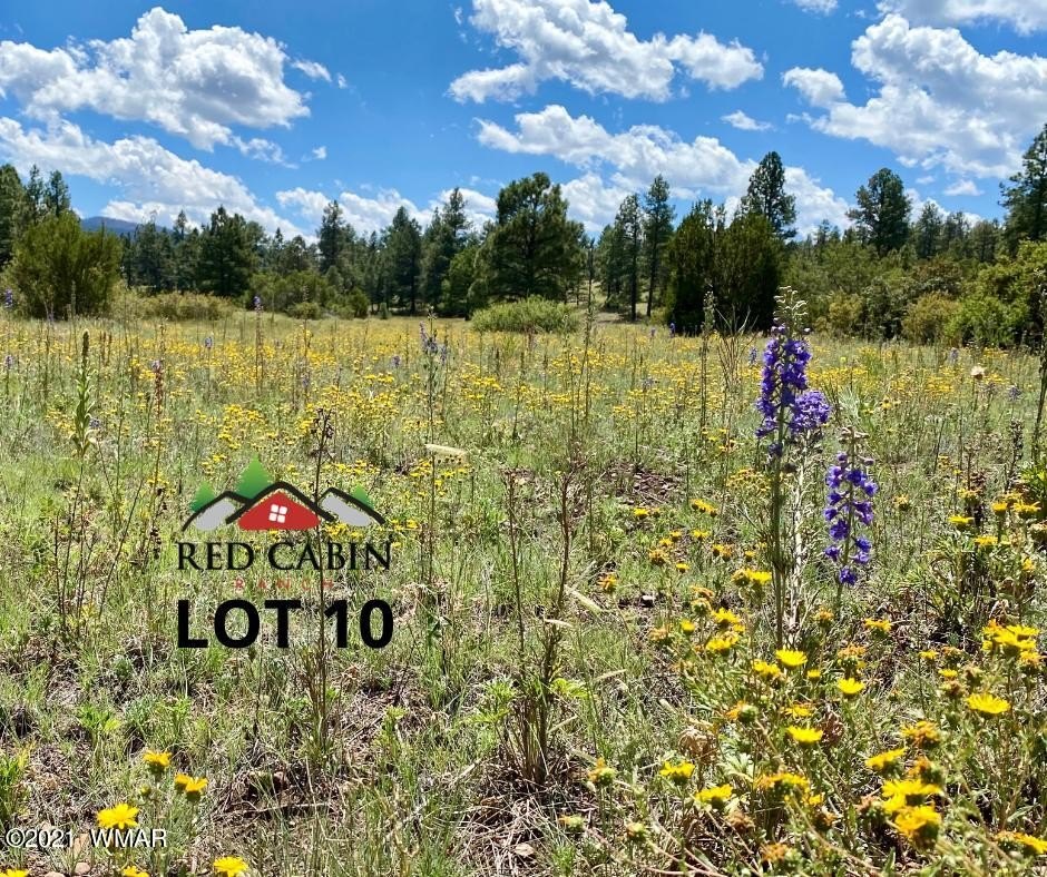 Land in Red Cabin Ranch