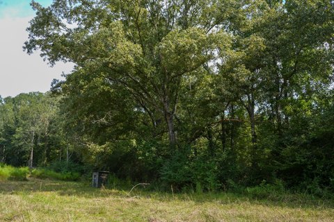 Hunting Land Tract with Creek
