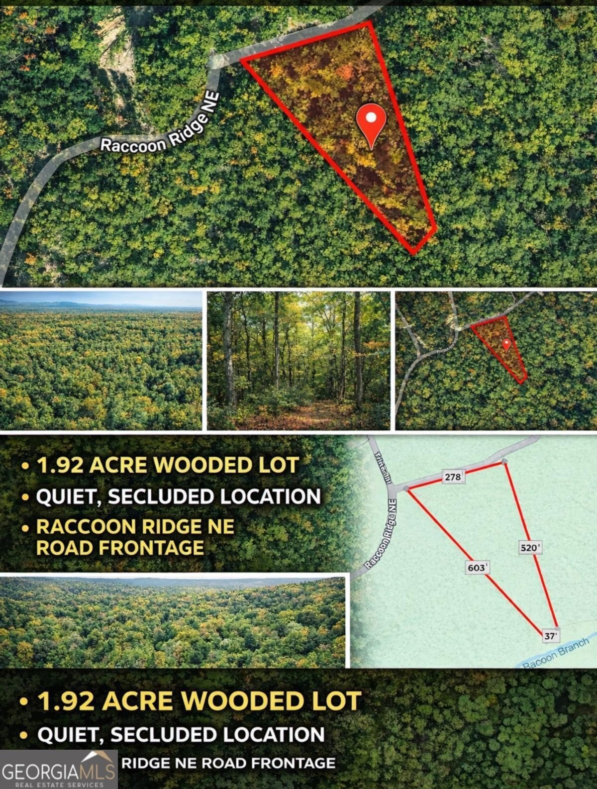 Land in Talking Rock Creek