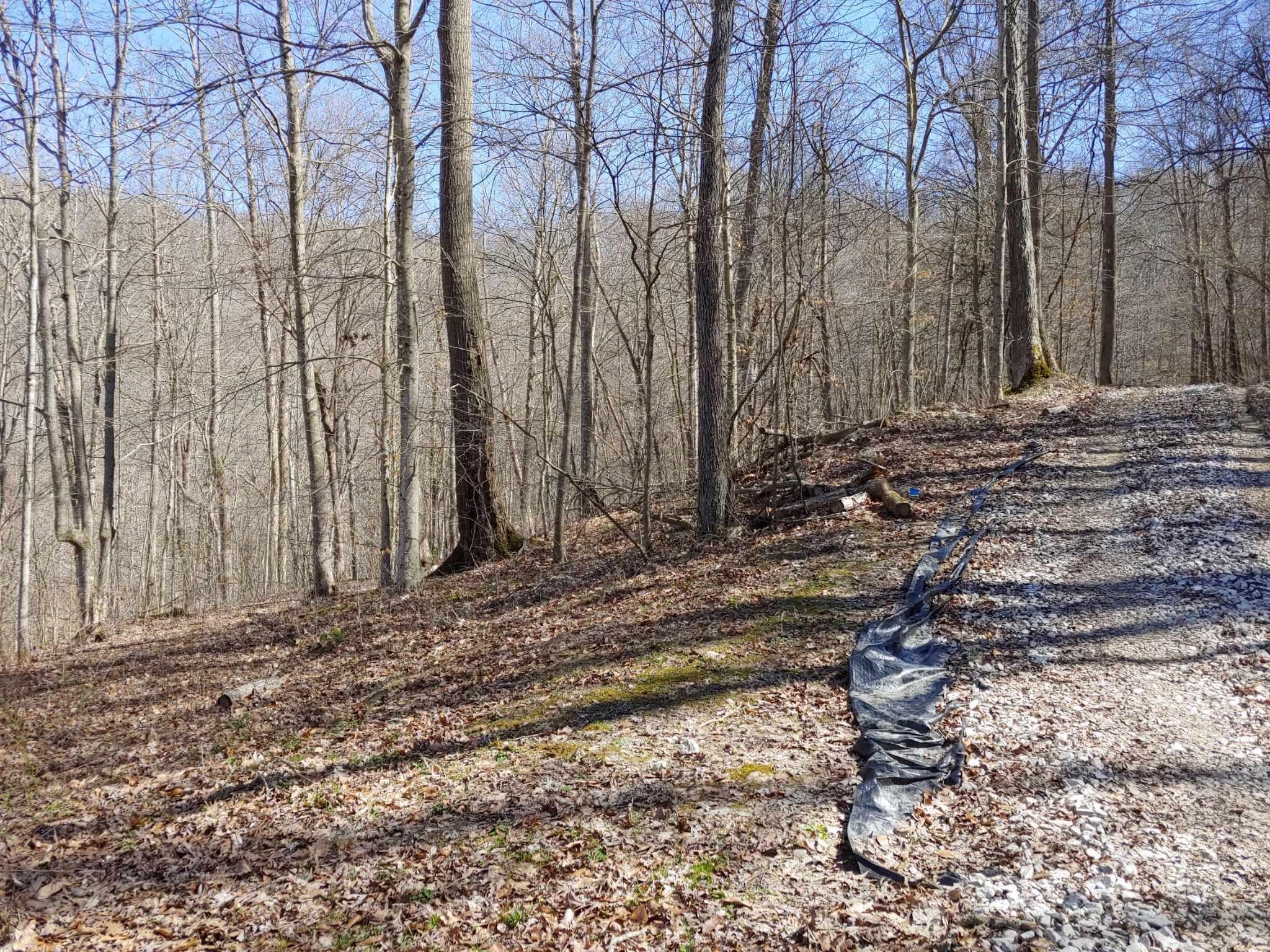 Land in Birch Hollow Community