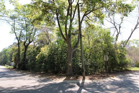 Vacant Land in Moultrie, GA