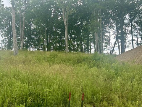 Residential Lots in Holly Grove Estates