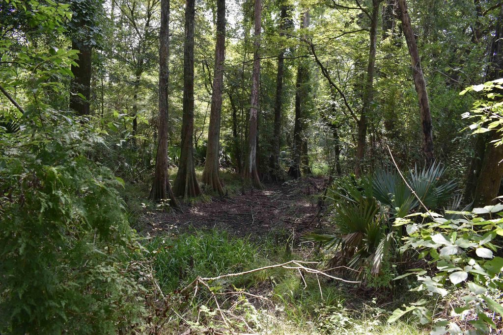 Picture 8