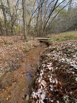 Usable Creekfront Land For Sale