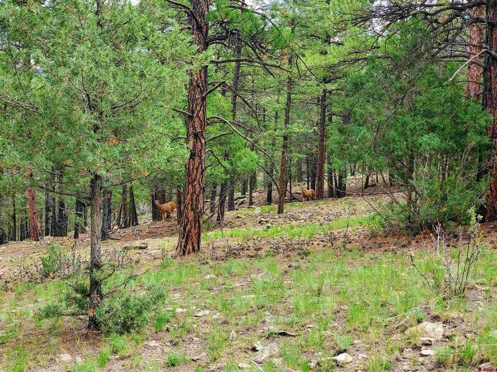 South Fork Land For Sale