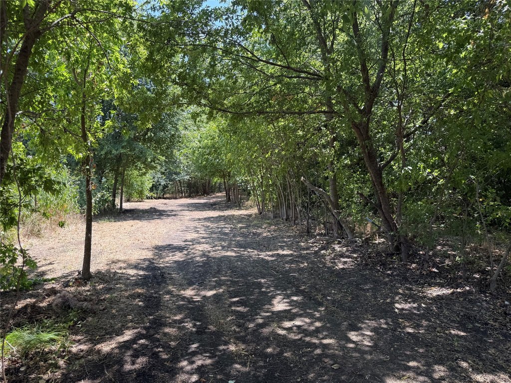 Picture 20