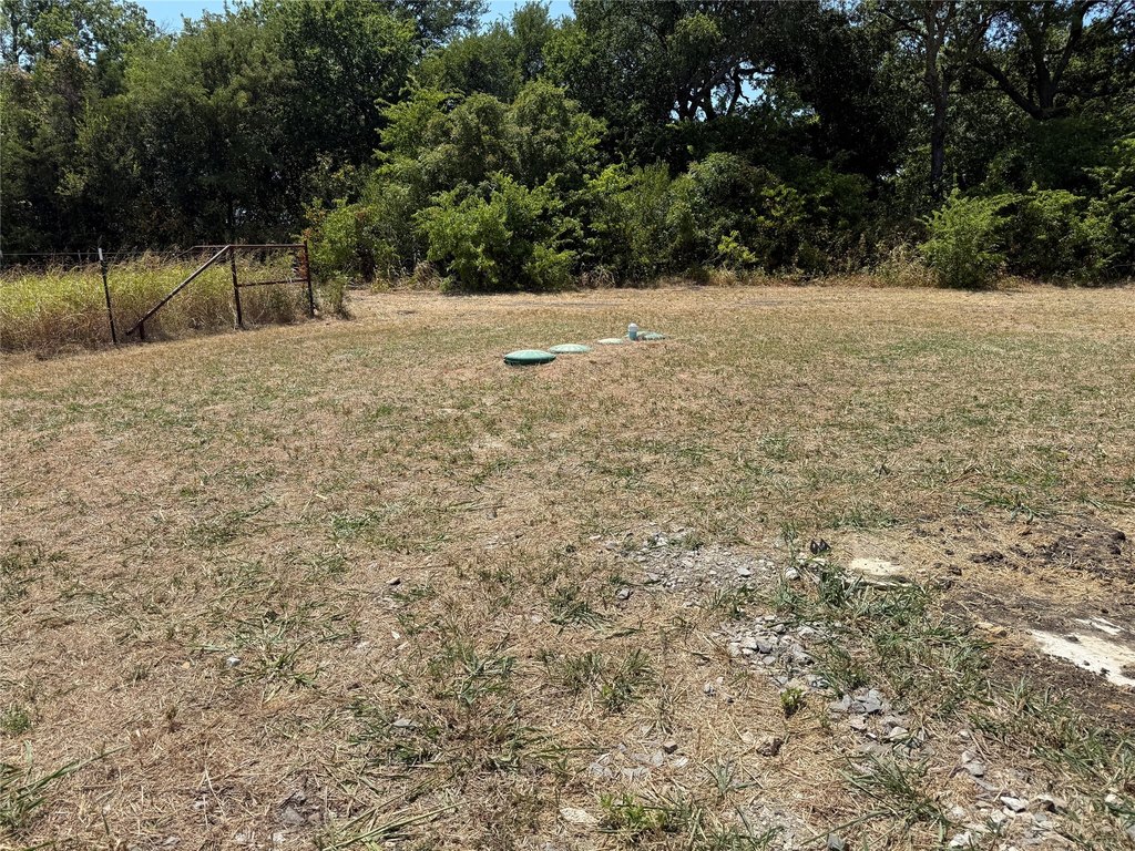Picture 14