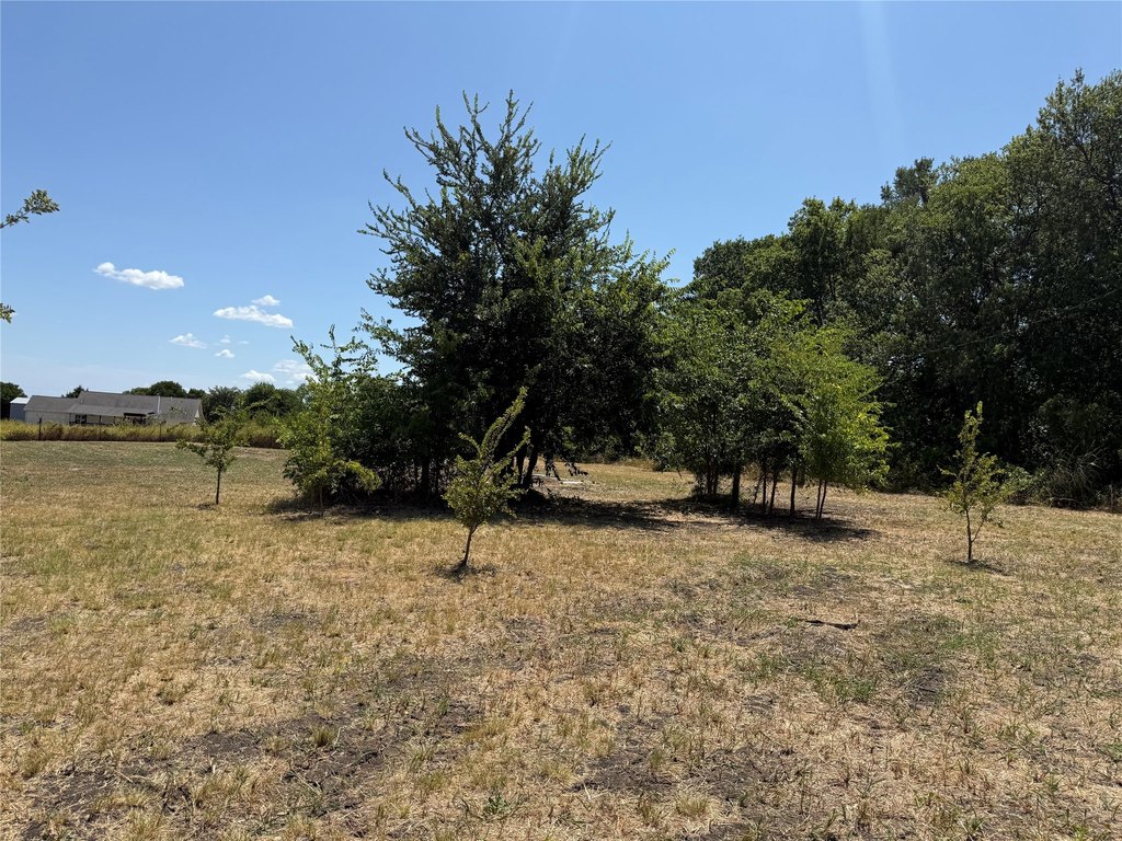 Picture 17