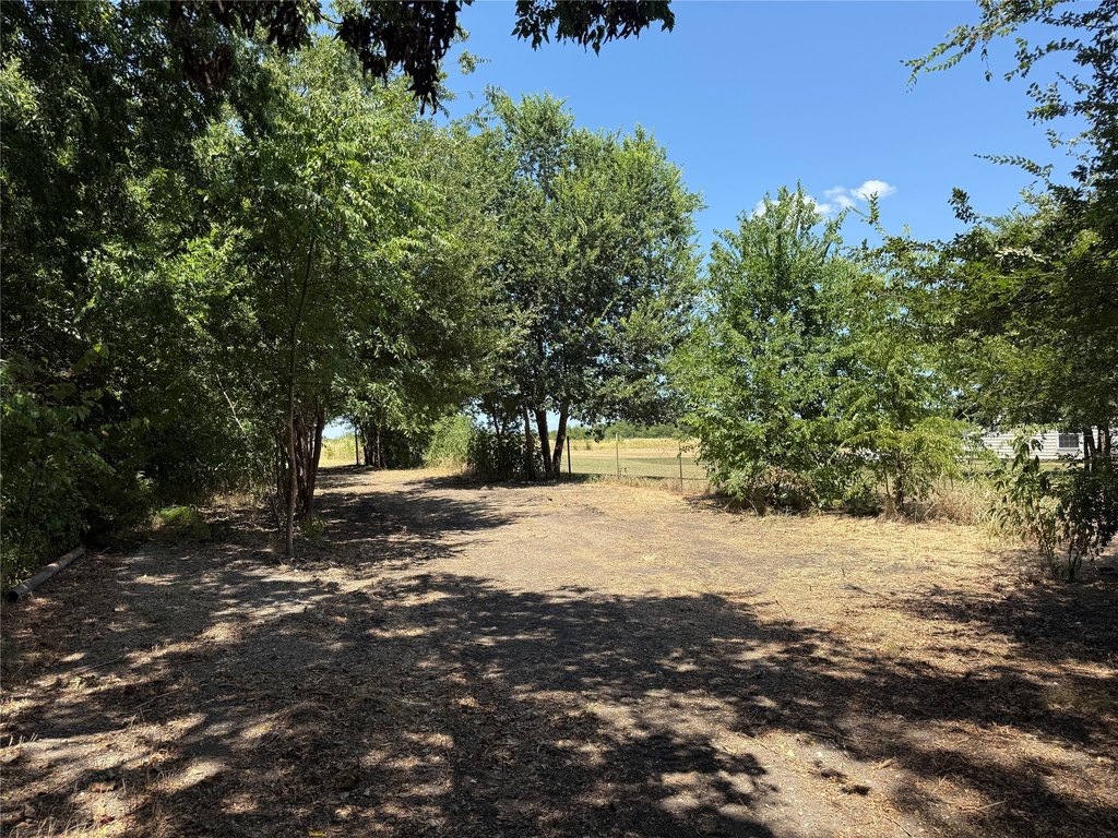 Picture 22