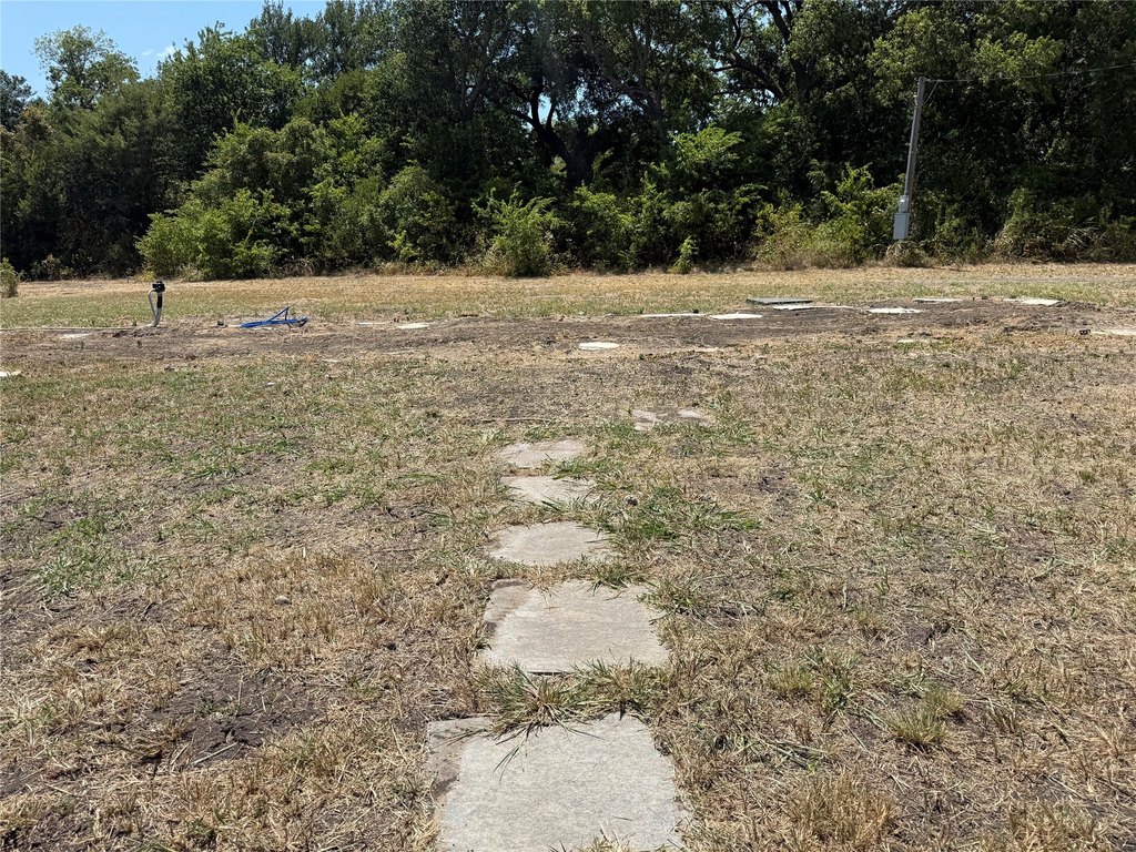 Picture 15