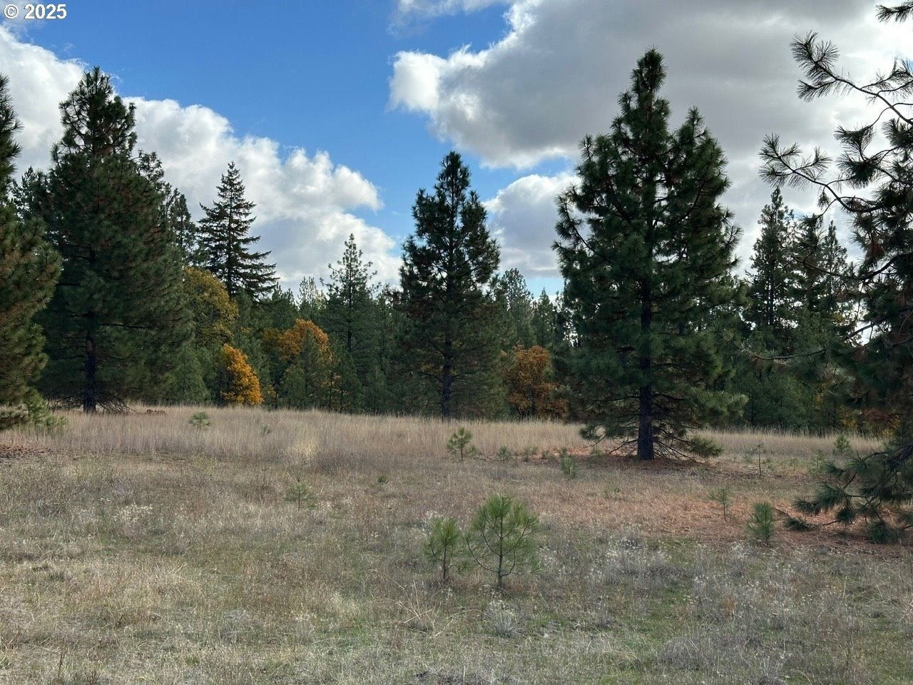 5-Acre Parcel in Goldendale, WA
