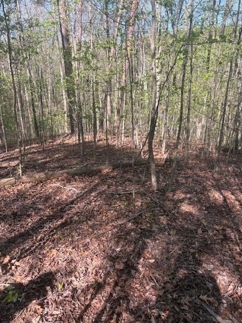 Residential Lot in Gated Community