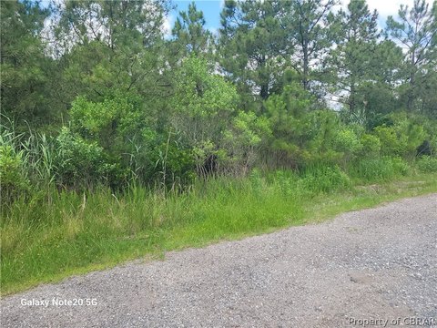 Wooded Lot in Ware Point