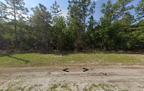Residential Lot in Ocala, FL