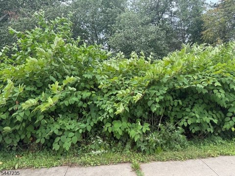 LAND - Piscataway Twp., NJ