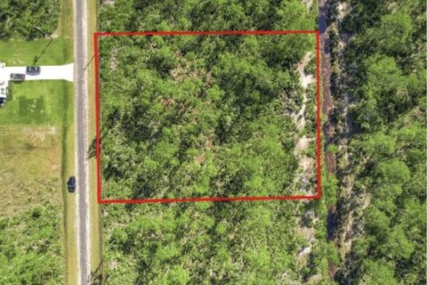 LAND - Indian Lake Estates, FL