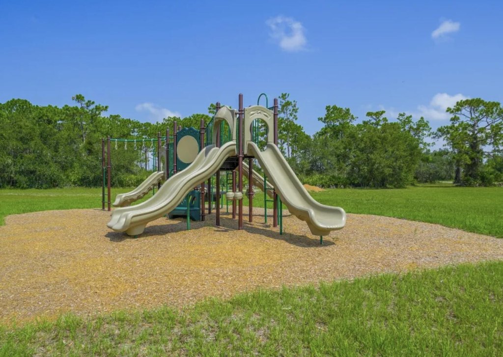 Picture 9