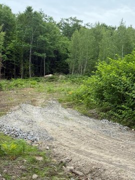 Undeveloped Land in Waterford, Maine