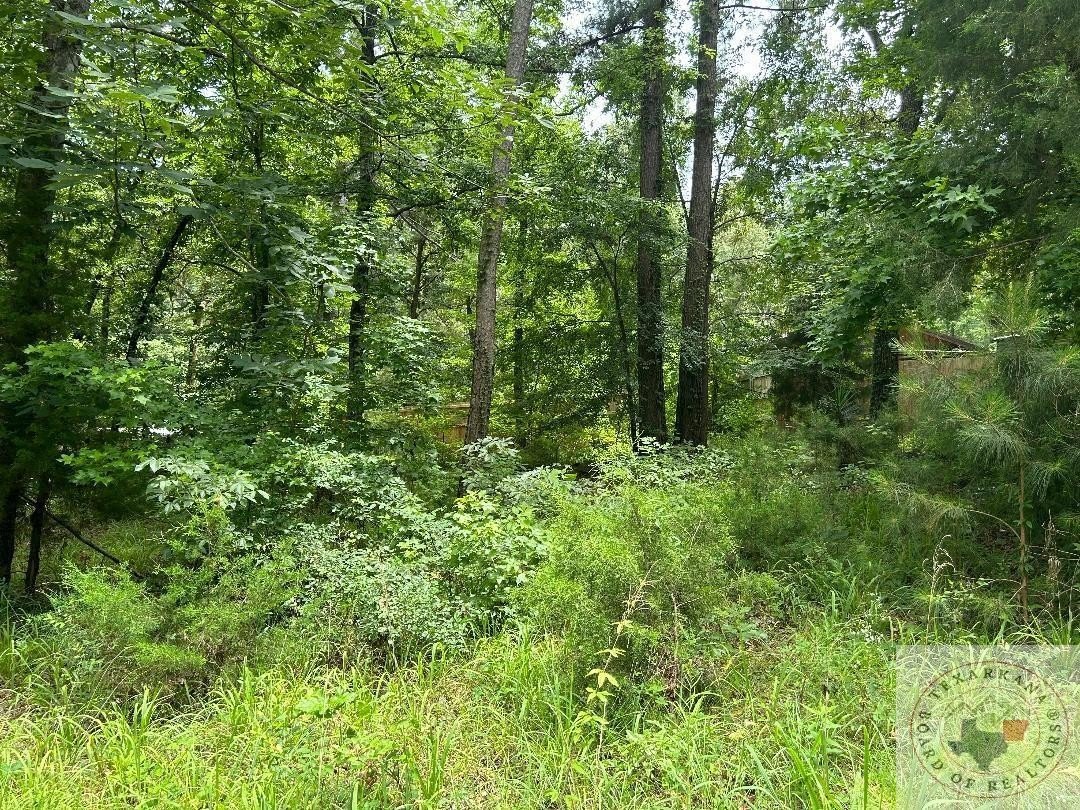 Land Near Lake of Pines