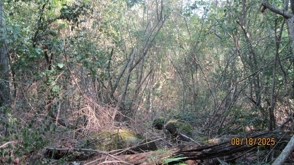 Picture 11