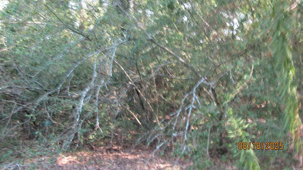 Picture 7