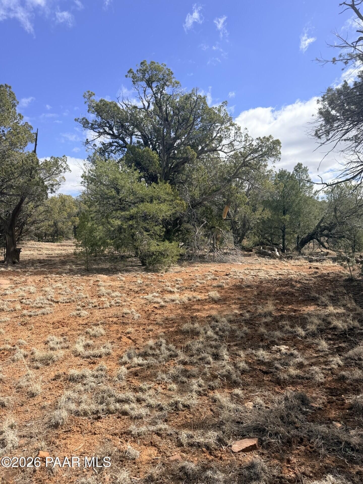 Secluded Off-Grid Land Parcel