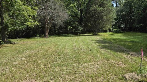 Land, Arp, TX