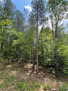 LAND - Broken Bow, OK