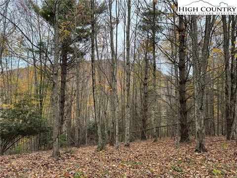 Spacious Wooded Lot in Banner Elk