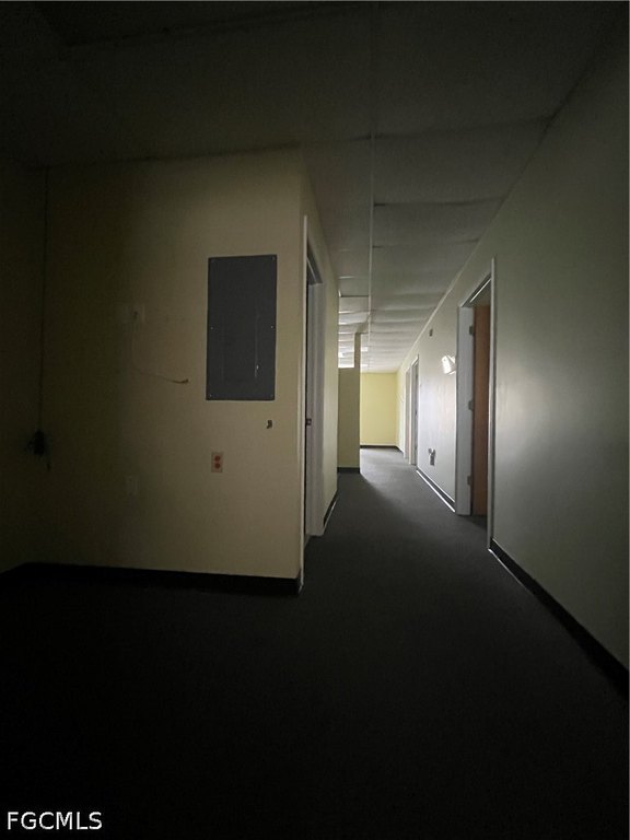 Picture 16