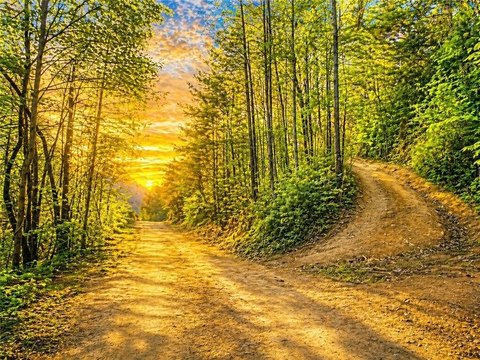 Unrestricted Land with Development Potential