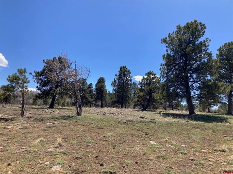 No-Covenant Mountain Land Parcel